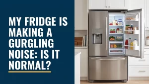 Modern stainless fridge in a bright kitchen, illustrating a fridge making gurgling noise